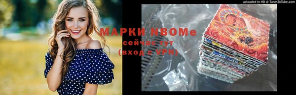 прущие крисы Бородино