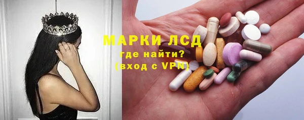прущие крисы Бородино