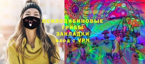 твердый Богородск