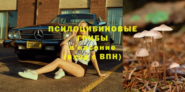 твердый Богородск